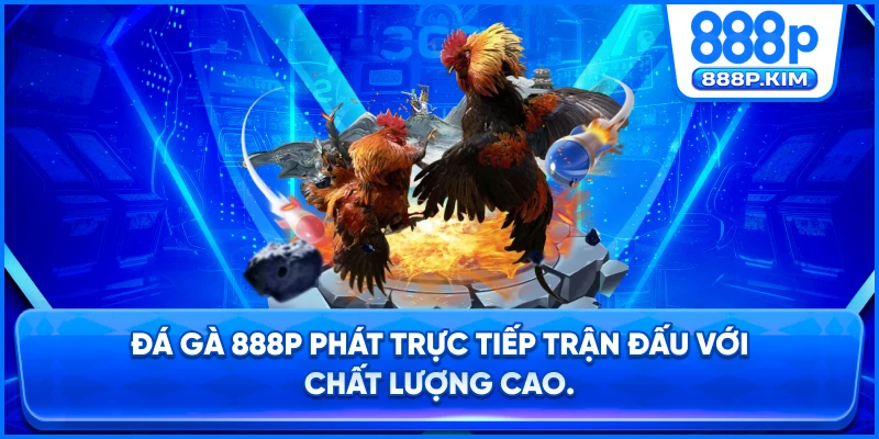 Đá Gà 888P phát trực tiếp trận đấu với chất lượng cao.
